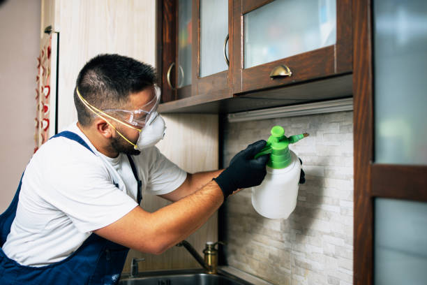 Best Termite Control Services  in Scenic Oaks, TX