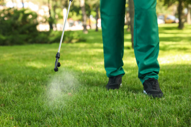 Best Pest Removal Services  in Scenic Oaks, TX
