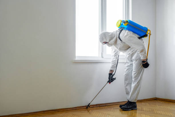 Best Best Pest Control Companies  in Scenic Oaks, TX