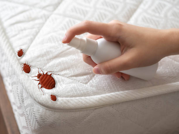 Best Emergency Pest Control  in Scenic Oaks, TX