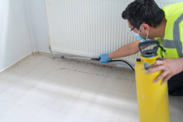 Best Commercial Pest Control Services  in Scenic Oaks, TX