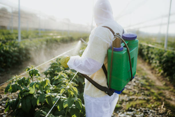 Best Pest Removal Services  in Scenic Oaks, TX
